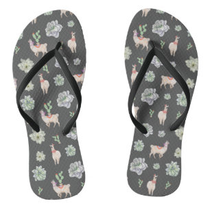 Tongs Llamas dans le désert avec cactus et amaryllis