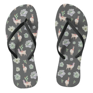 Tongs Llamas dans le désert avec cactus et amaryllis