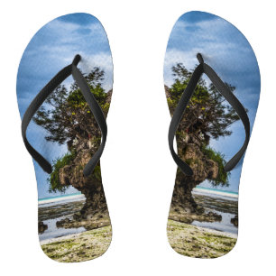 Tongs Maison pittoresque sur un affleurement de corail t