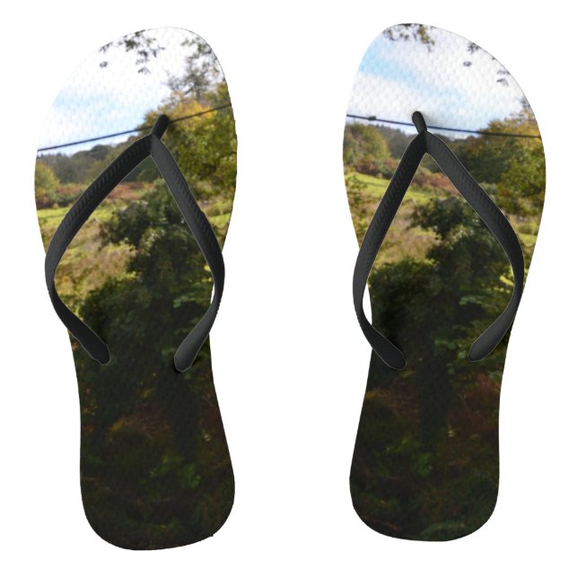 Tongs nature way of impersonating animals (Semelle)