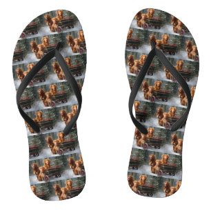 Tongs Nouvelle-Écosse Duck Toller Retriever Snowden