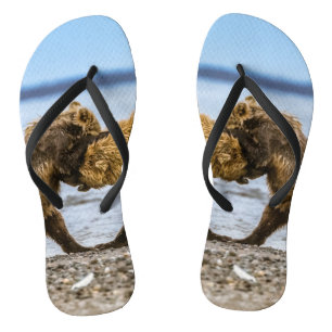 Tongs Ours brun côtier