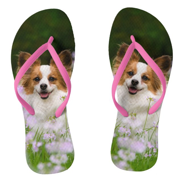Tongs Papillon Chien Cute Romantique Portrait Animaux -  (Semelle)