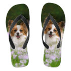 Papillon Chien Cute Romantique Portrait Animaux - 