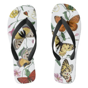 Tongs Peinture vintage de papillon et de papillon