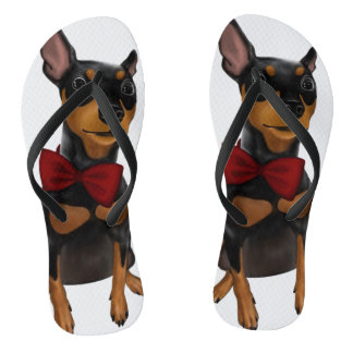 Tongs Pinscher miniature (Pin de minute) avec des