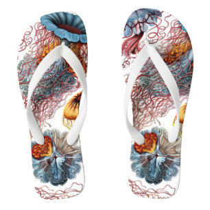 Tongs Poisson vintage par Ernst Haeckel, Discomedusae