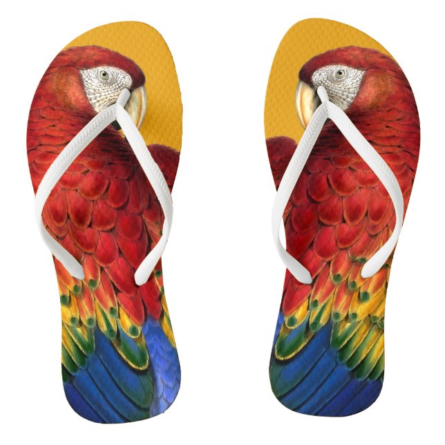 Tongs Rainbow Macaw Parrot Lover Bold et Summery (Semelle)