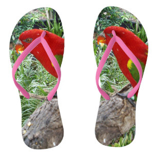 Tongs Rouge arc-en-ciel Lorikeet australien