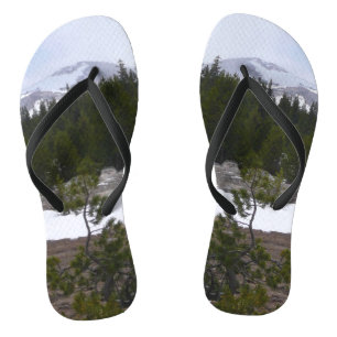 Tongs Sierra Nevada Montagnes et neige à Yosemite