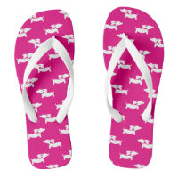 Tournes roses Hot Dachshund