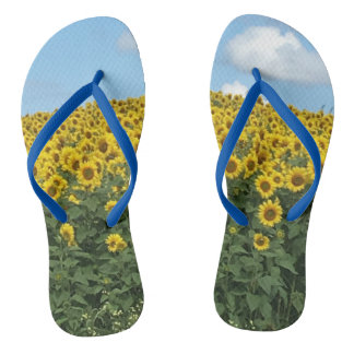 Tongs Tournesol