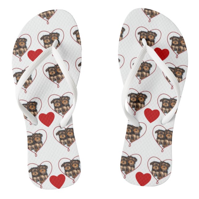 Tongs Tournesol des chiots de Valentines yorkie (Semelle)
