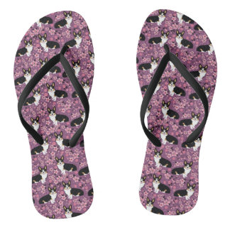 Tongs Tri fleurs de cerisier colorées de corgi - pourpre