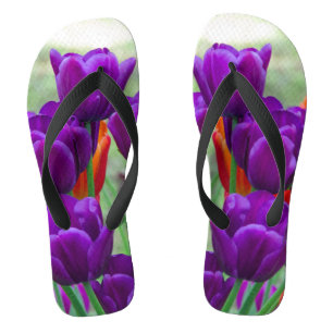 Tongs Tulipes violettes foncées par une journée ensoleil