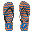 Université de Floride F