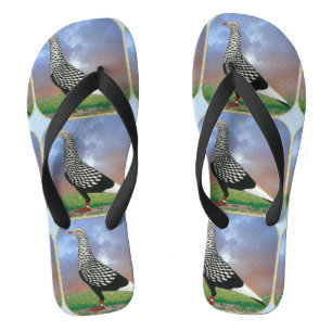 Tongs Vol Pigeon et nuages