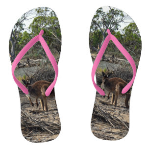 Tongs Wild Bush Kangaroo, Australien