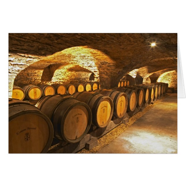 Tonneaux de chêne dans la cave au Domaine Comte (Devant horizontal)