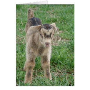 Tonnerre vieux d'un jour Toutes les occasions