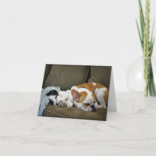 Tonnez les cartes de voeux de bouledogue (Devant)