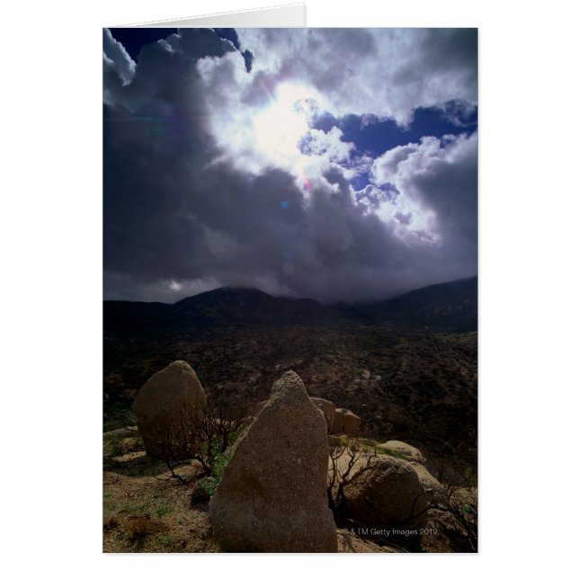 Tonto National Forest, Arizona, United States (Front)