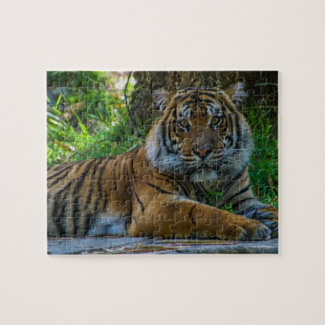 Tony Jigsaw Puzzle (Horizontal)