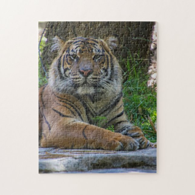 Tony Jigsaw Puzzle (Vertical)