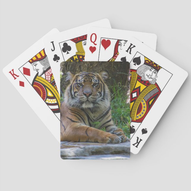 Tony Playing Cards (Back)