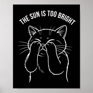 Too Bright Kitty Poster
