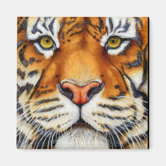 Too Close - Siberian Tiger Magnet