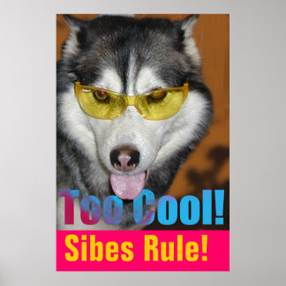 Too Cool Poster