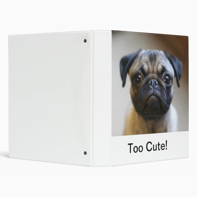 Too Cute! Binder (Background)