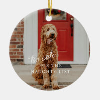 Too Cute for the Naughty List Pet Ornament