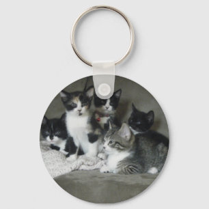 Too Cute Kittens Keychain