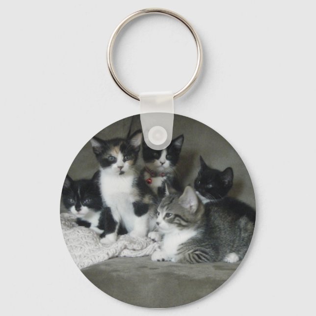 Too Cute Kittens Keychain (Front)