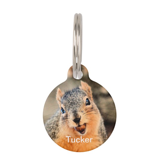 Too cute   pet tag (Front)