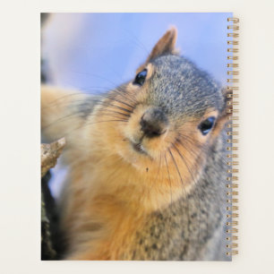Too cute planner