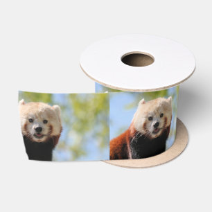 Too durn cute ribbon satin ribbon