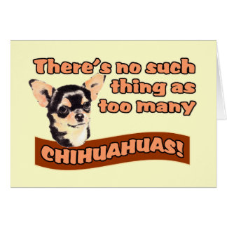 "Too Many Chihuahuas"
