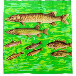 too many fish in the sea