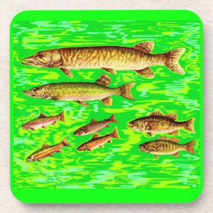 too many fish in the sea coaster