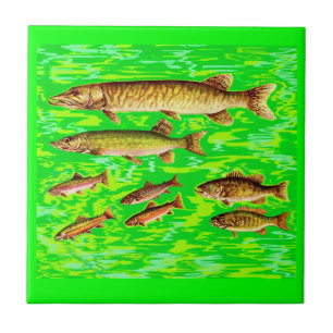 too many fish in the sea tile