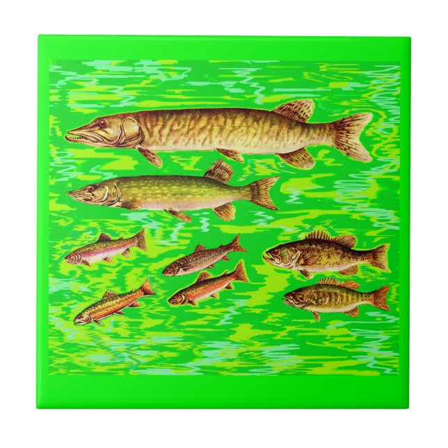 too many fish in the sea tile (Front)