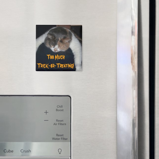 Too Much Trick-or-Treating! Magnet (In Situ (Fridge))