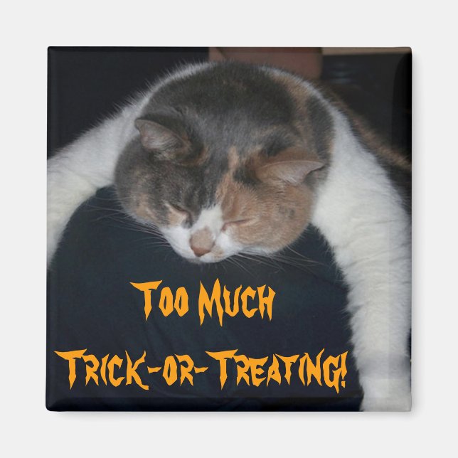 Too Much Trick-or-Treating! Magnet (Front)