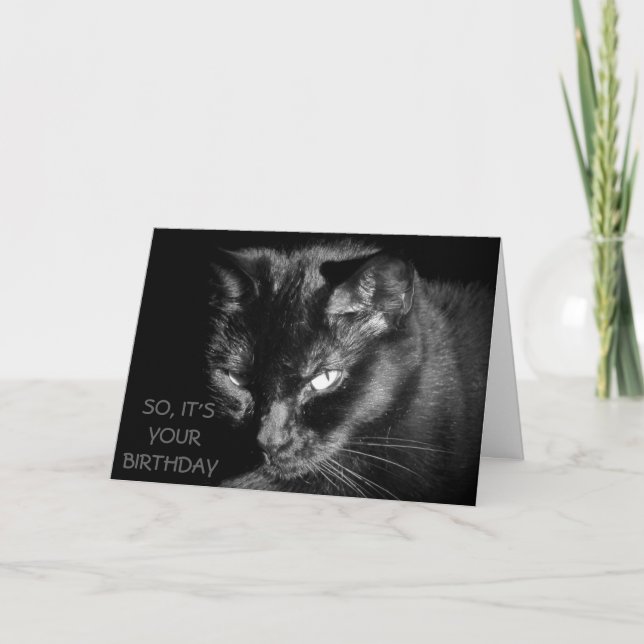 Too Old to Feed The Cat? Card (Front)