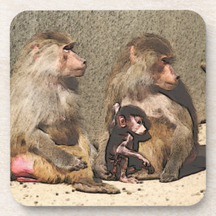 toony baboons coaster