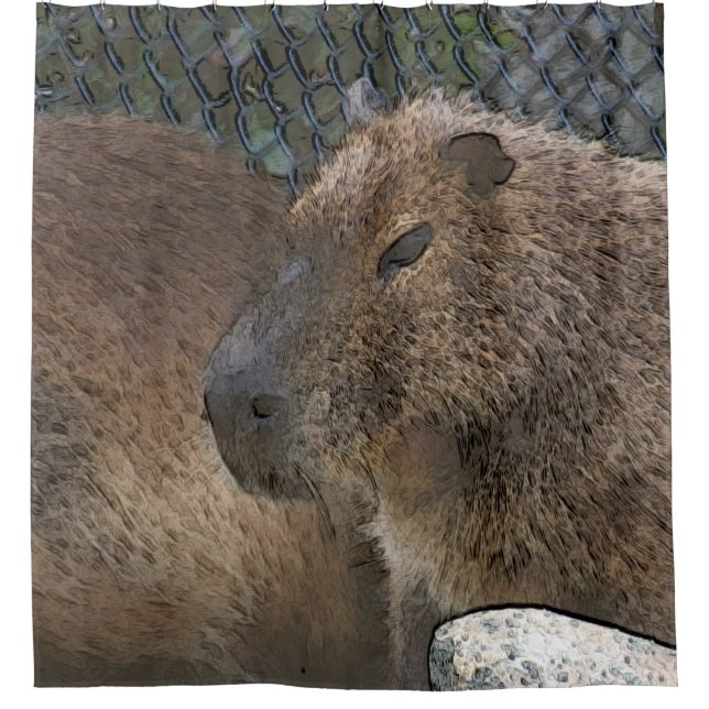 toony Capibarah (Front)
