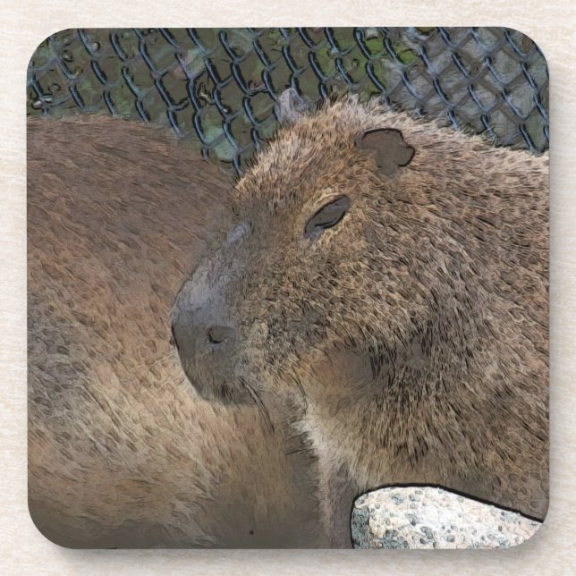 toony Capibarah Coaster (Front)